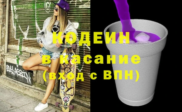 шишки Арсеньев
