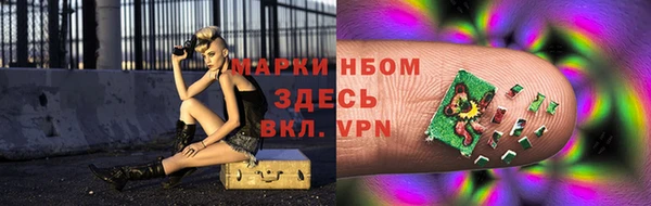гашик Аркадак