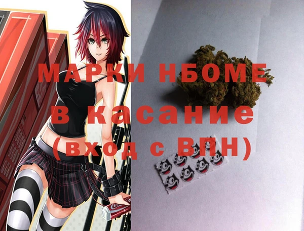 гашик Аркадак