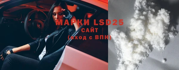 гашик Аркадак