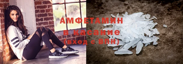 шишки Арсеньев