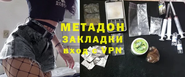 шишки Арсеньев
