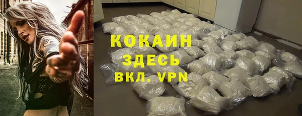 гашик Аркадак