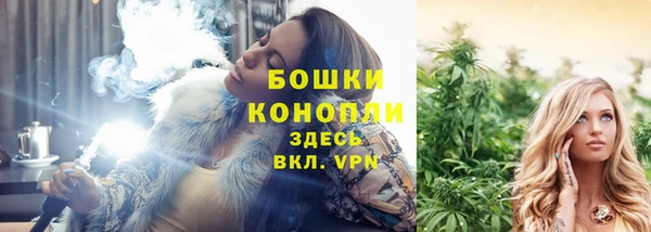 шишки Арсеньев